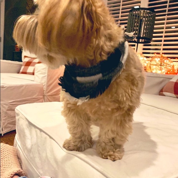 ❤️ - Picture 5 of 14